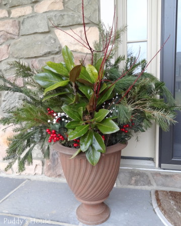 Christmas - Greens-magnolia-berries-urn-on-porch