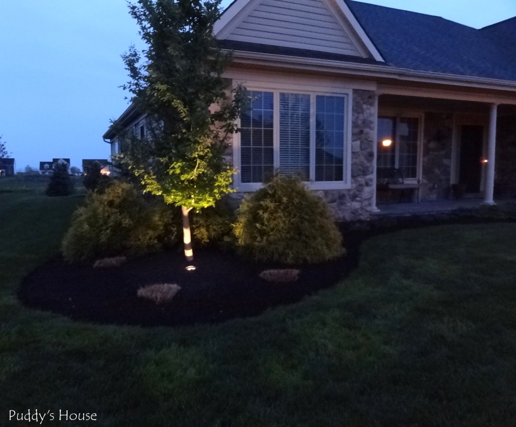DIY Landscape Lights Puddy's House