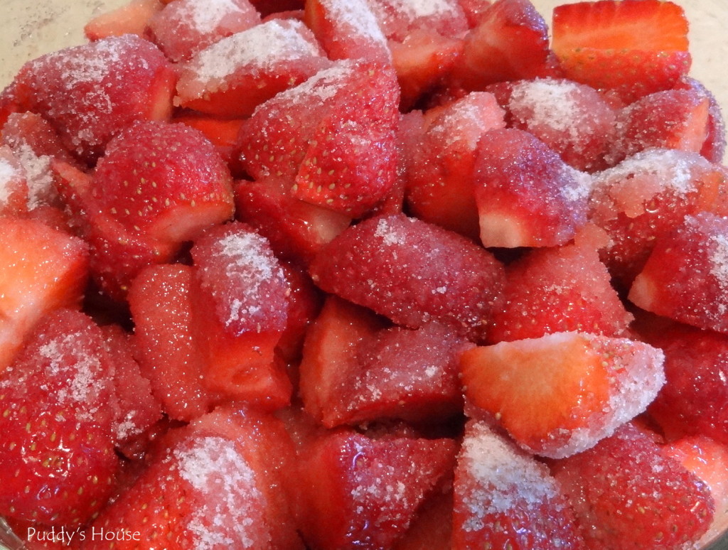 Simple Strawberry Shortcake Puddy's House