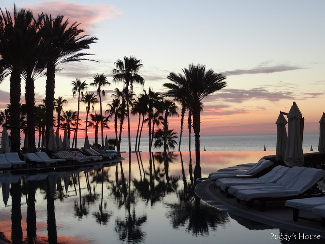 Cabo - sunrise over infinity pool