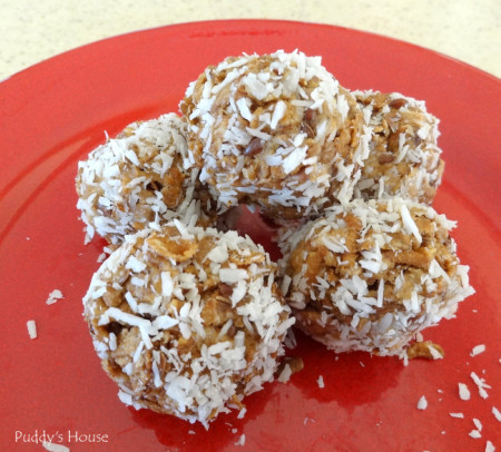 Protein Balls - complete with coconut