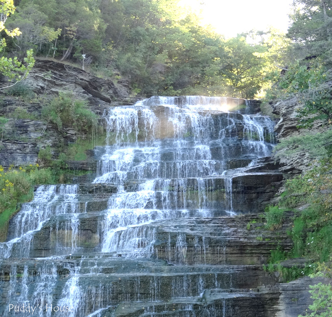 Finger Lakes - Waterfall