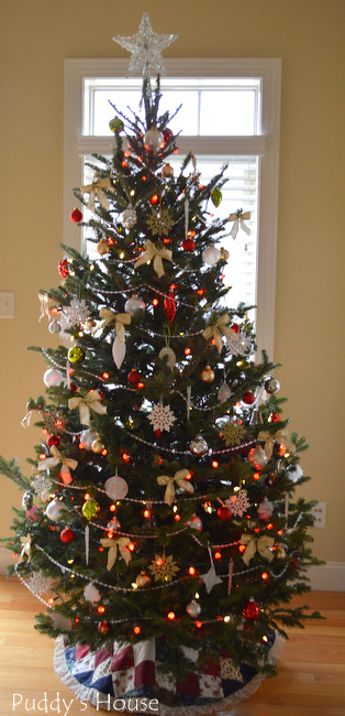 Christmas House - fraser fir tree